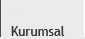 Kurumsal